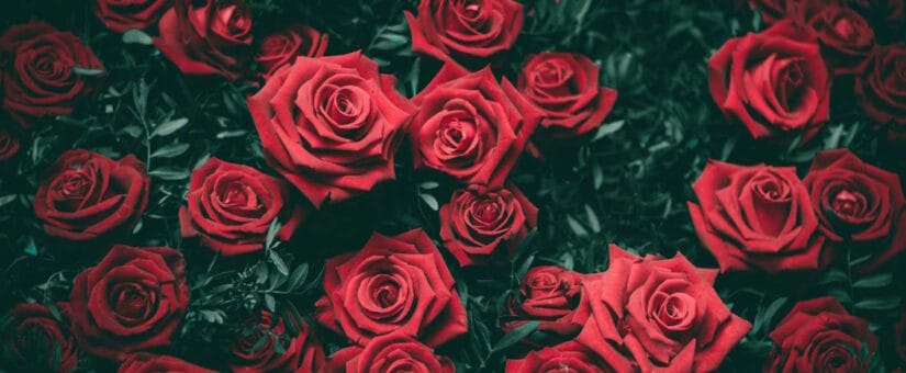 Dzień Kobiet w Łodzi: Jak zaplanować idealny babski wypad?